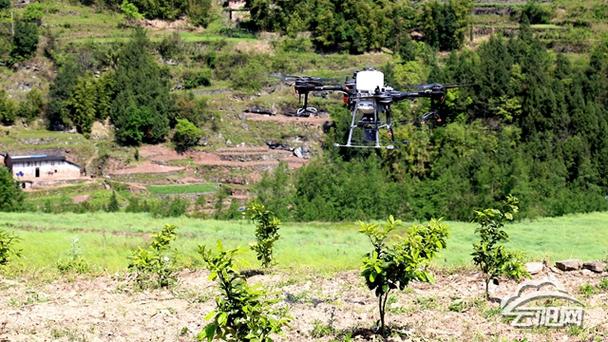 南溪直播平台怎么样_南溪直播平台正规吗